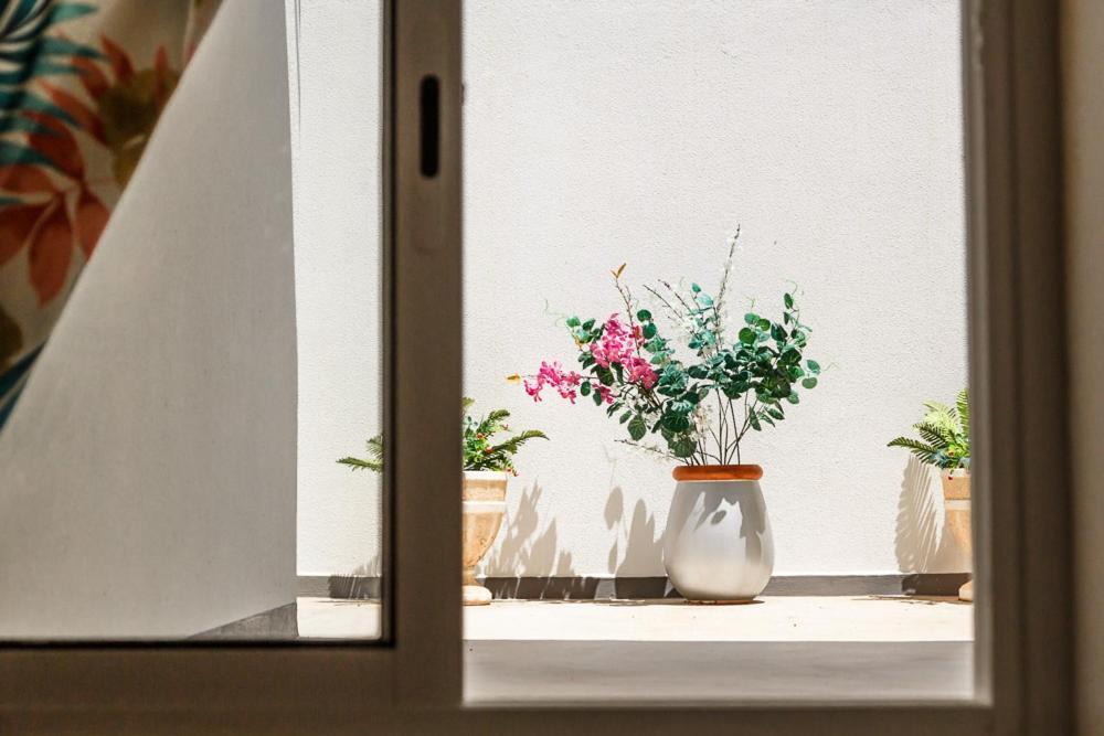 Apartament Residencia Ana Piso Zero 0 Santa Cruz  Zewnętrze zdjęcie